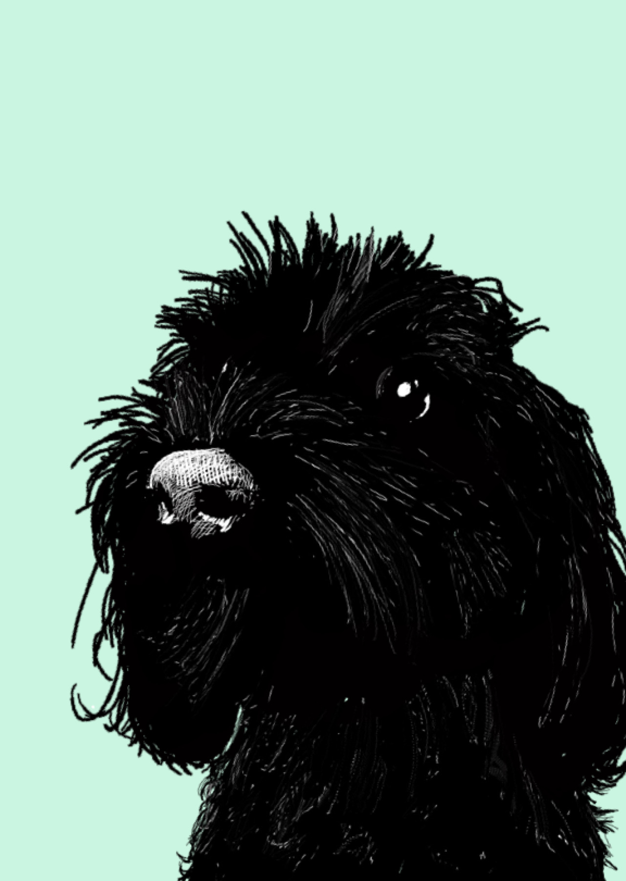 Bear on glass